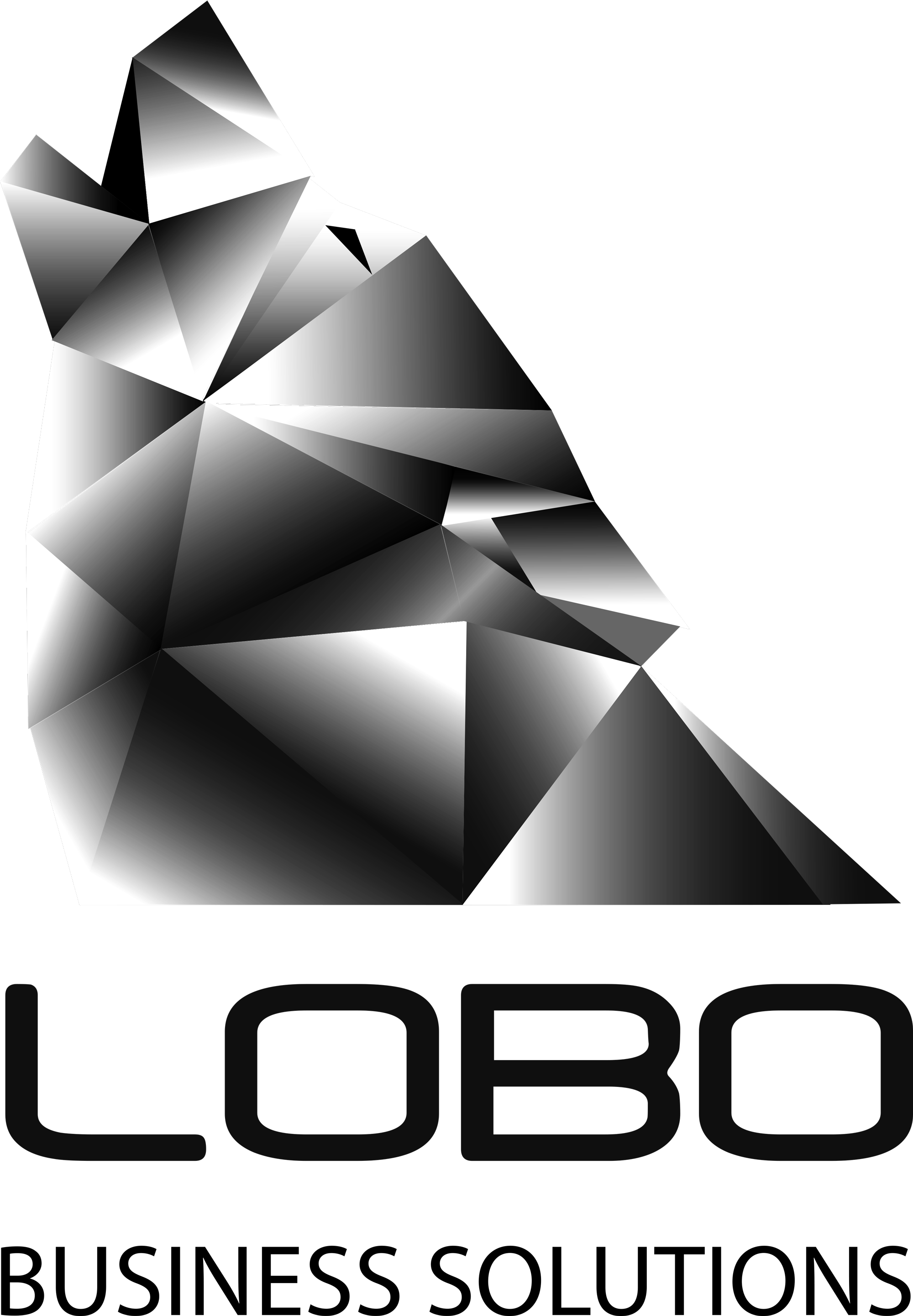 LOBO Business Solutions, LLC